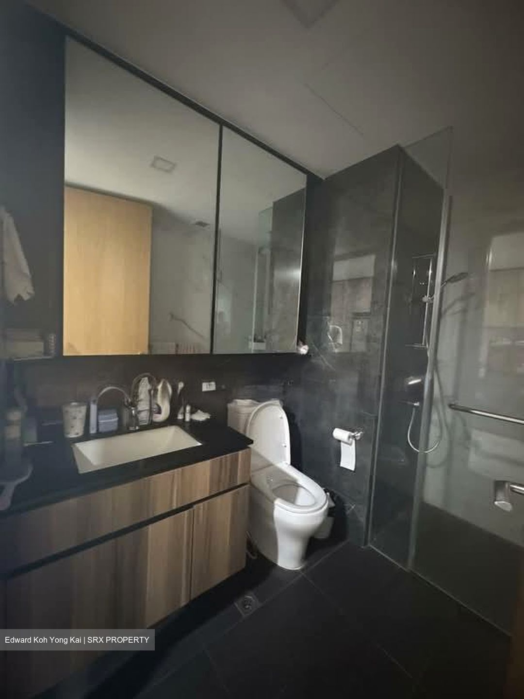 The Verandah Residences (D5), Apartment #602741231